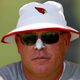 Illustration for article titled Why Your Team Sucks 2014: Arizona Cardinals